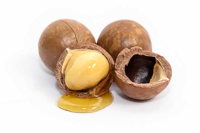 Macadamia Nut Oil
